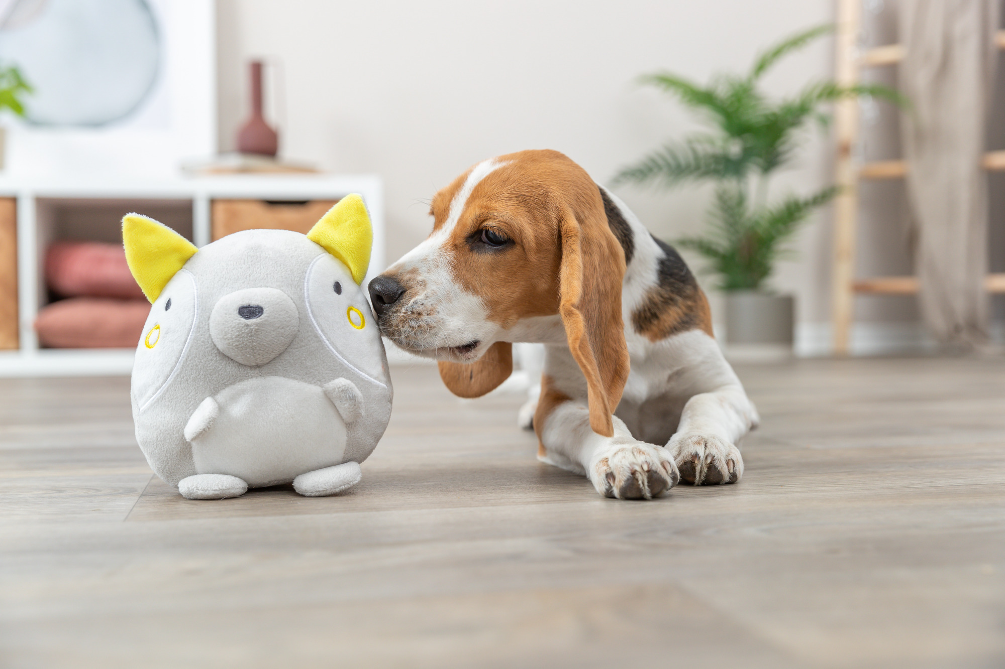 miwafuna.de - Produktwelt Hund