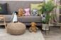 Preview: Trixie Pinguin Erin Hundespielzeug