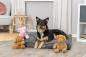 Mobile Preview: Trixie Schweinchen Edison Hundespielzeug