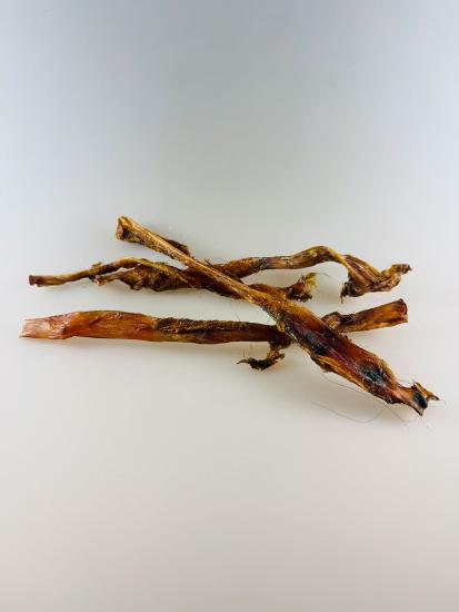 Pferde Achillessehnen