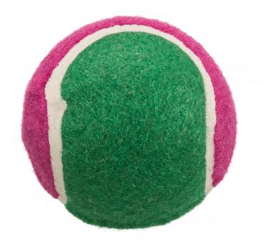 Trixie Tennisball Hundespielzeug