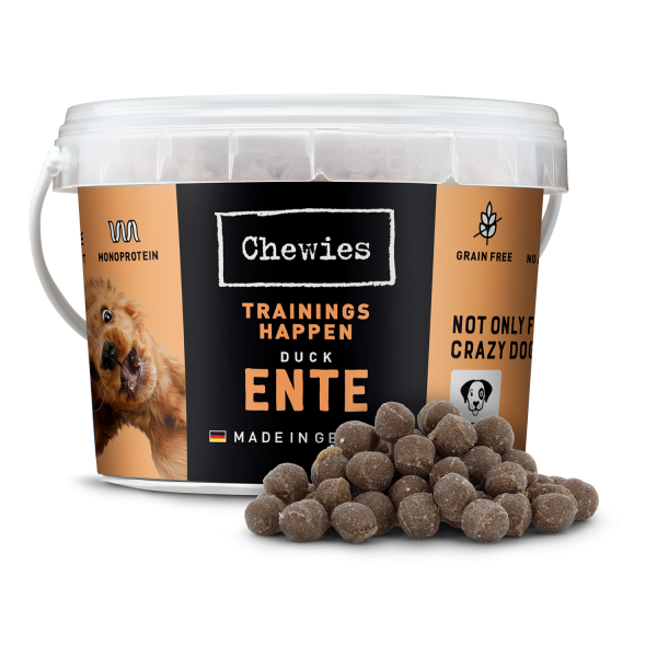 Chewies Trainingshappen Ente