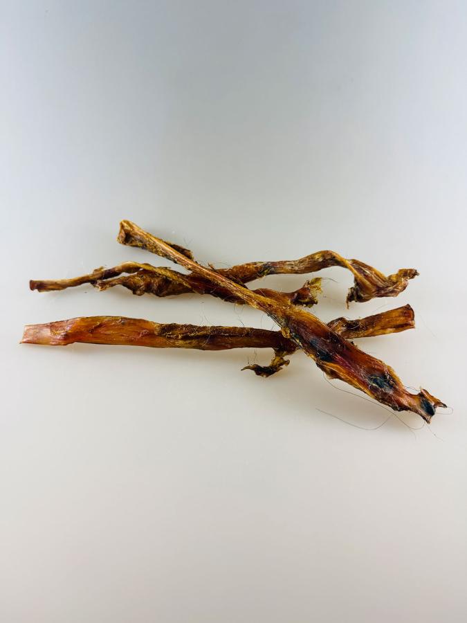 Pferde Achillessehnen