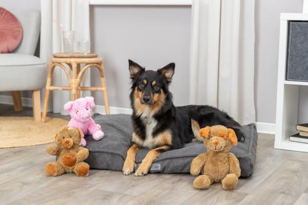 Trixie Schweinchen Edison Hundespielzeug