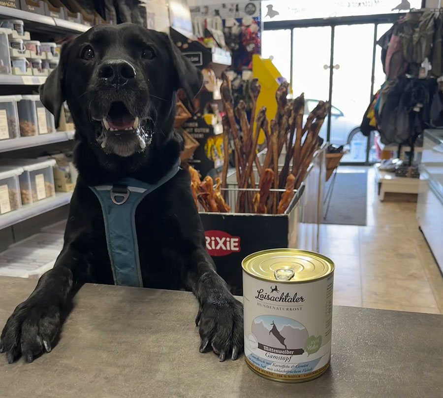 Gesundes Hundefutter ohne Wasser, Brühe und chemische Substanzen